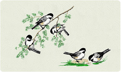 Chickadees