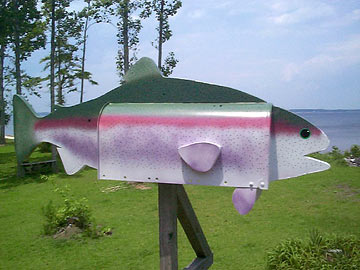 Rainbow Trout Mailbox
