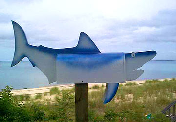 Mako Shark Mailbox